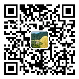 幸运飞行艇开奖记录app